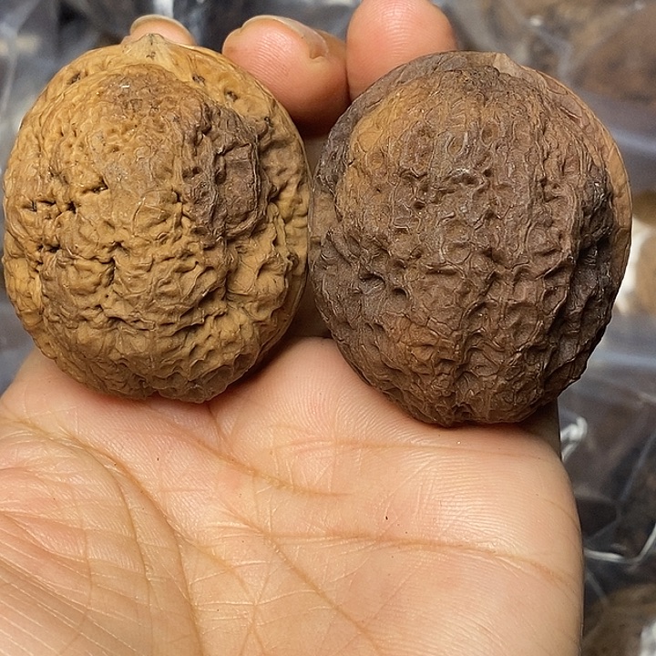 文玩核桃把件云南铁核桃10