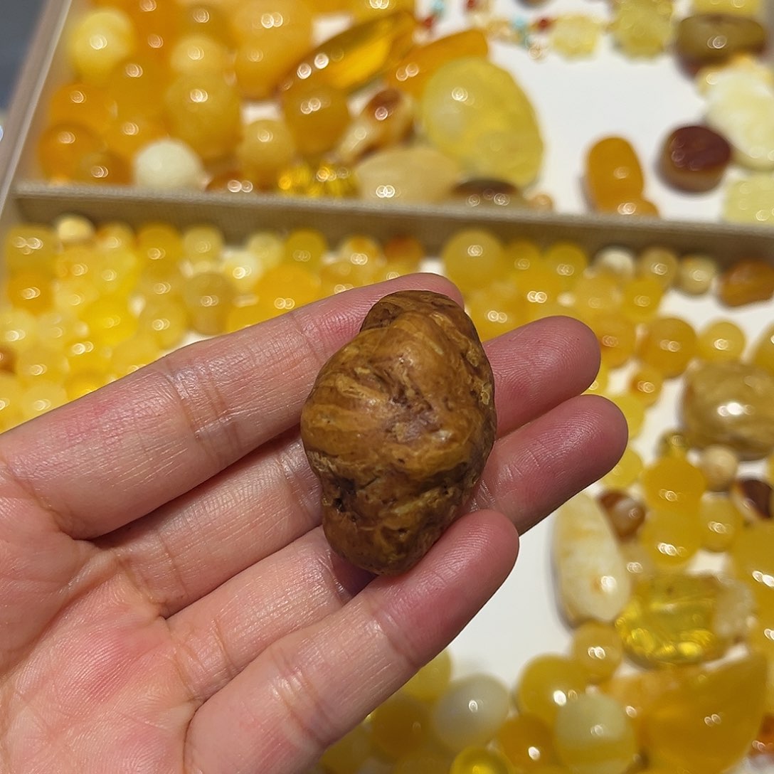 未镶嵌颈饰琥珀蜜蜡原石