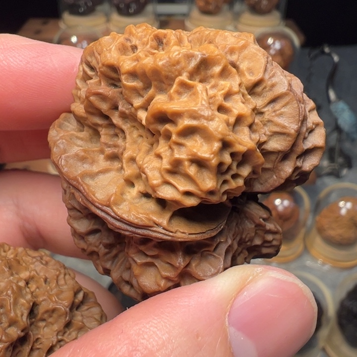 文玩核桃把件蛮荒古蟾44mm