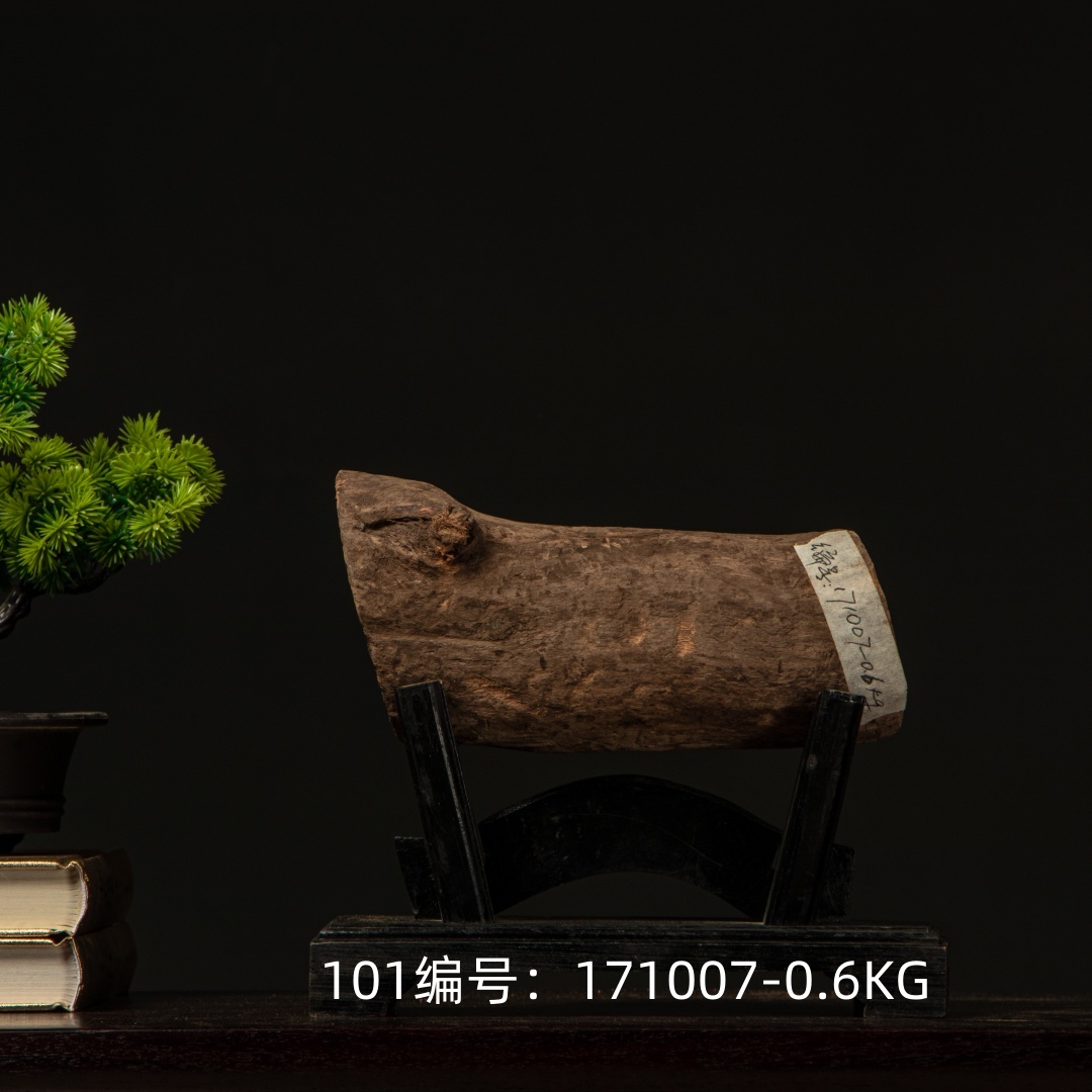 印度老山檀香横财摆件 檀香木原材料 老山檀香原木171007-0.6KG