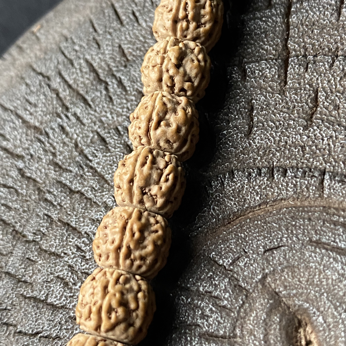 树系列•一代龙手持