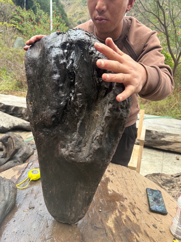 民间使用风化木阴沉木