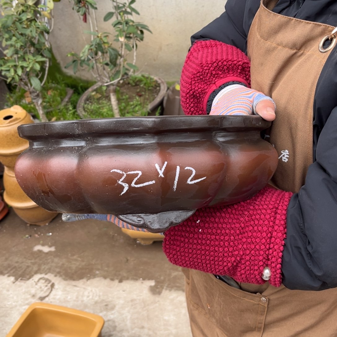 紫砂花盆盆景艺术