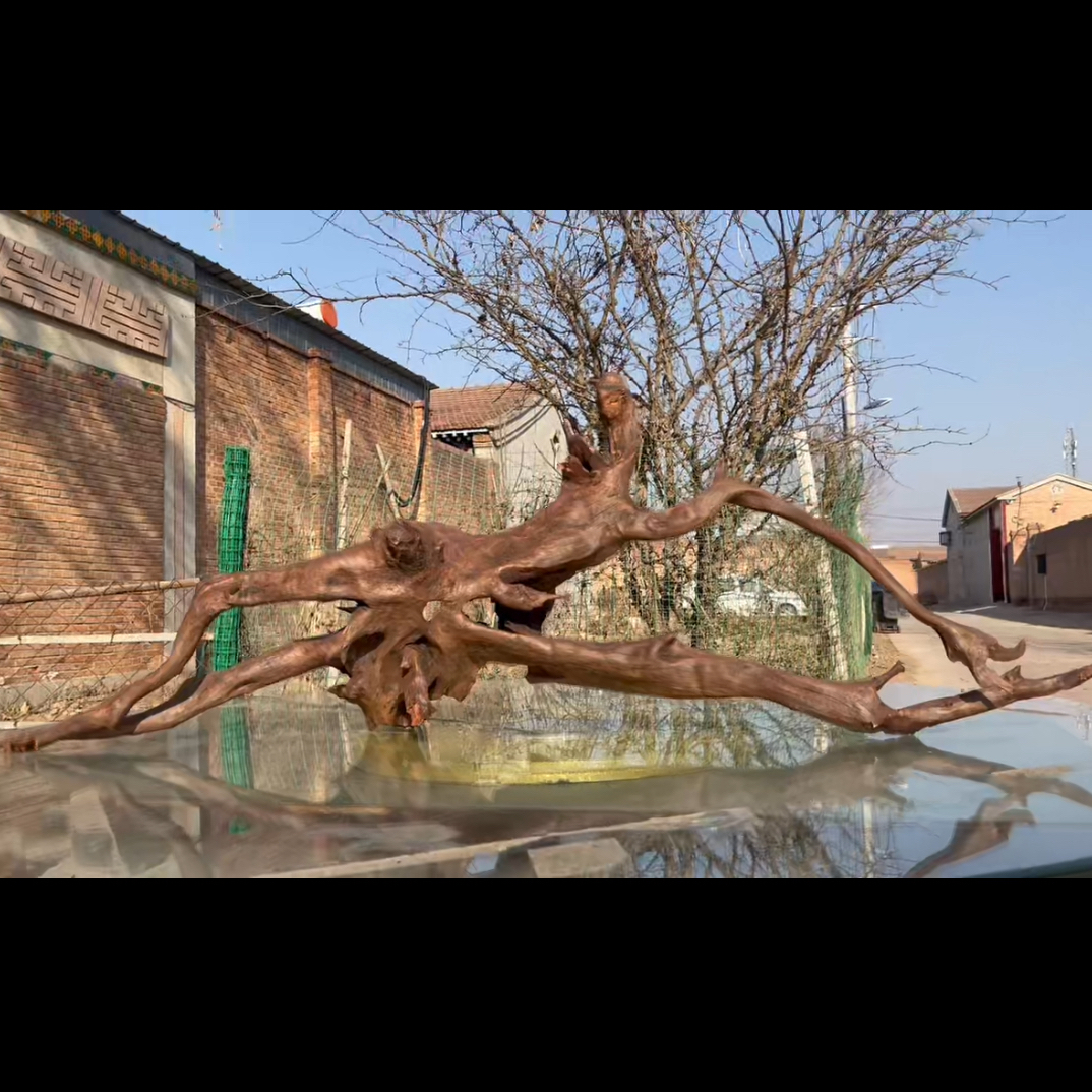 尺寸：125✖️28✖️44，鱼缸造景沉木摆件，紫柚木，秒沉水，包煮，南美缸