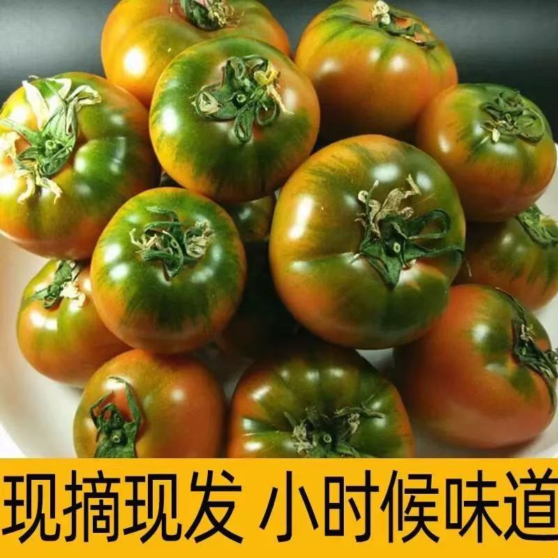 【彤果良品】正宗丹东铁皮草莓柿子4.5斤装，现摘碱地柿子，新鲜水果番茄绿腚西红柿草莓番茄辽宁省