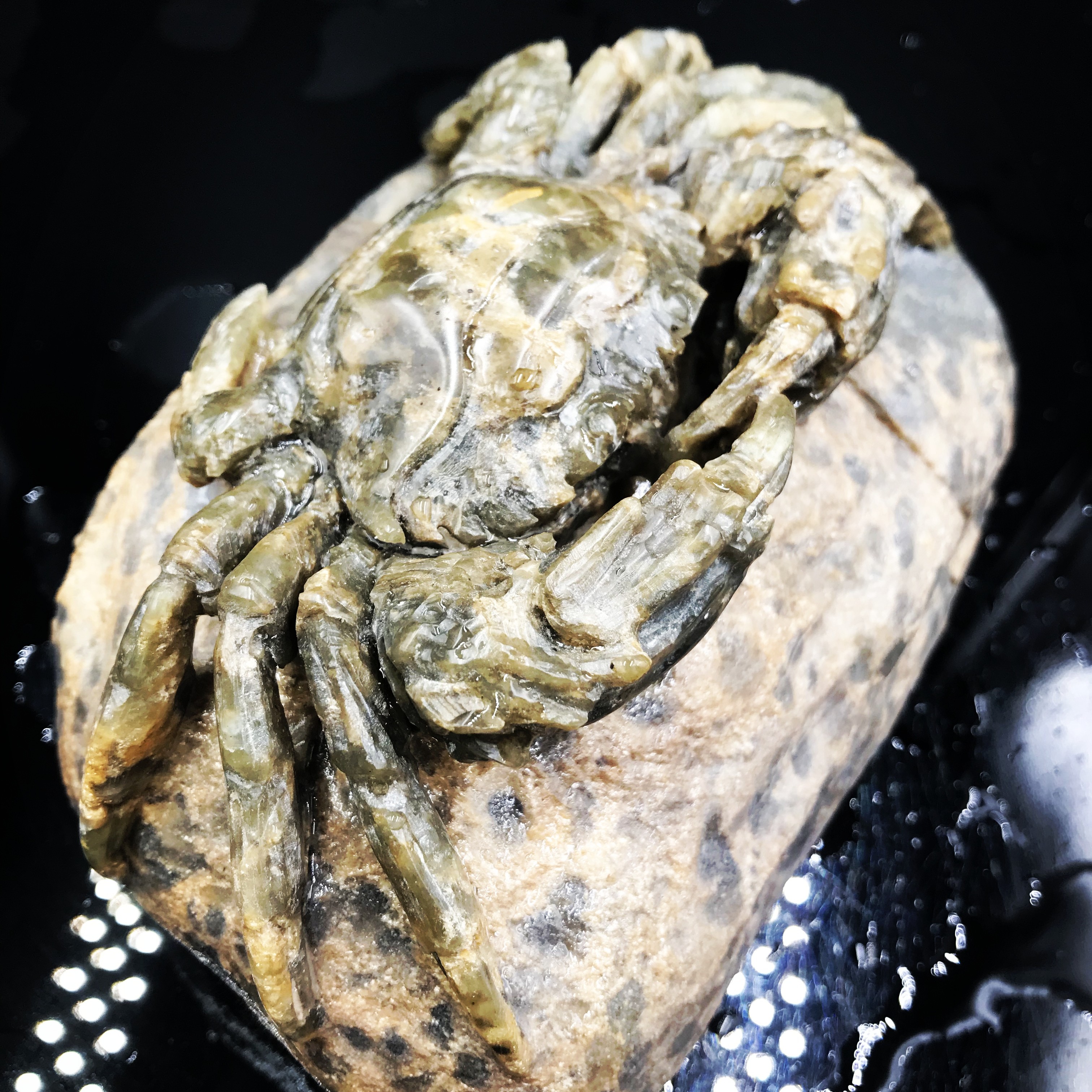 花想蓉【雕刻精品茶宠】冰碛岩雕刻【茶宠】浮雕手工收藏级送礼泡茶