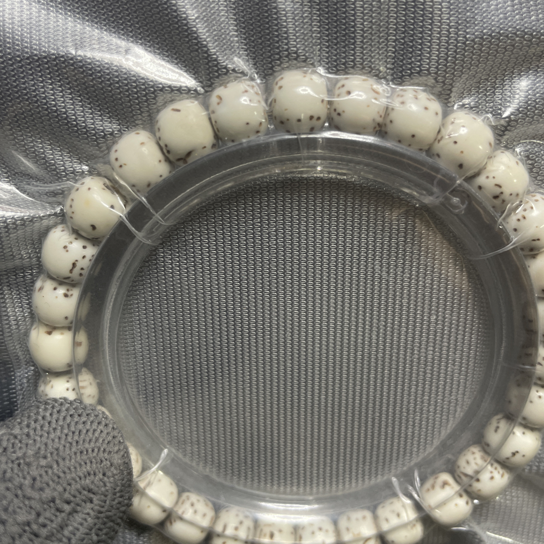 星月菩提 7×6河豚原生态高密大留白无脱脂编号18