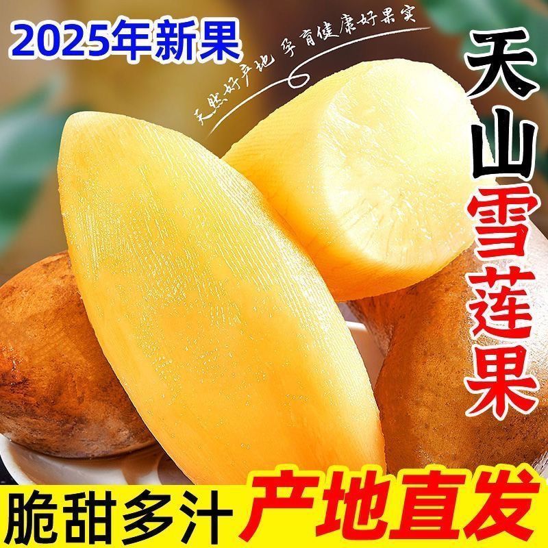 【现挖YA 】云南天山雪莲果清甜多汁黄心新鲜应季水果现挖