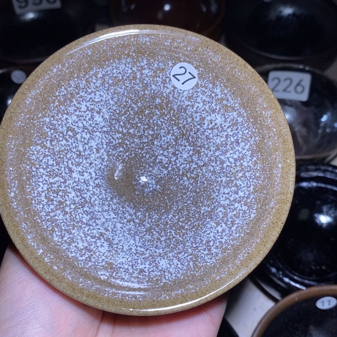 茶盏哈哈哈哈哈哈哈27