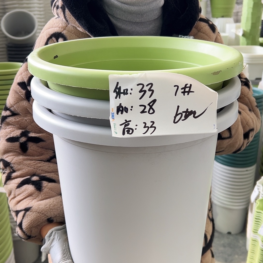 四季盆7#灰白色4个无托