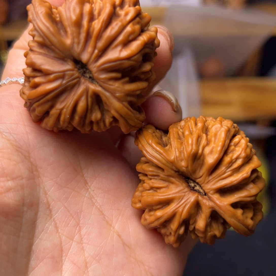 ﾠ***把件桃核四座楼福利