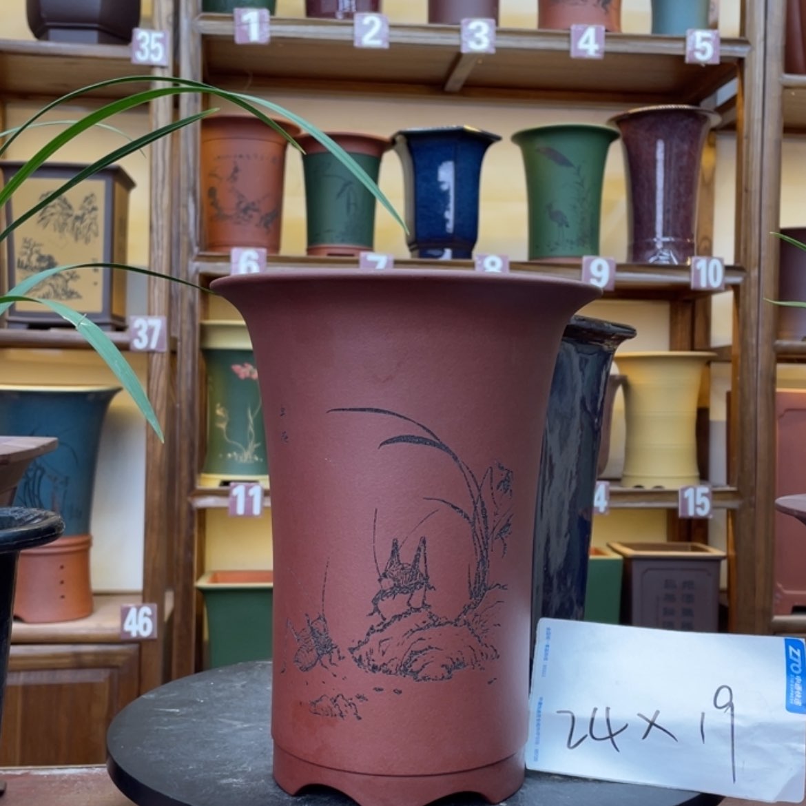 【闪购商品】紫砂花盆兰花644364649464646464
