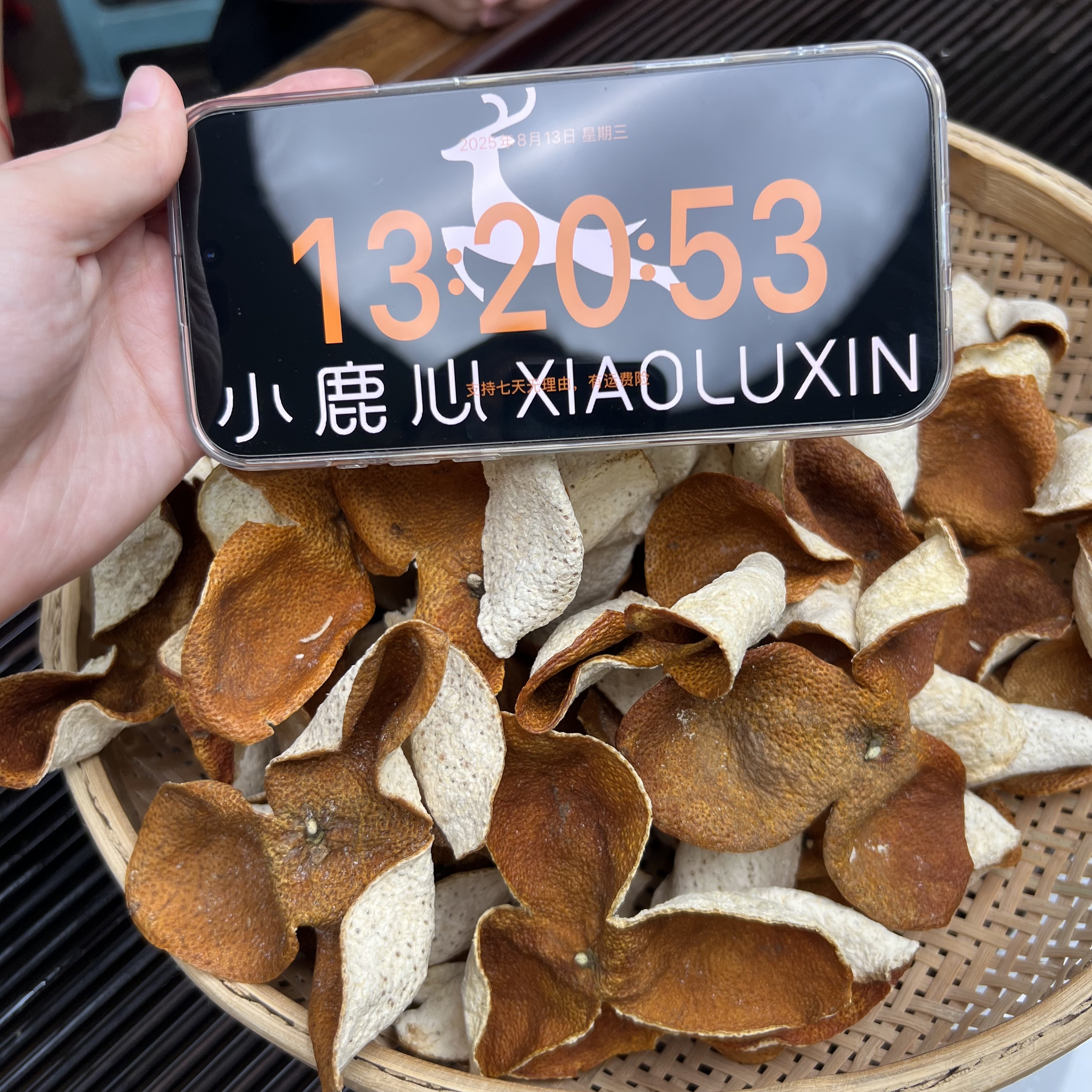 2024新会梅江圈枝大红新皮 ①小鹿收茶  新会新皮 8月13/2