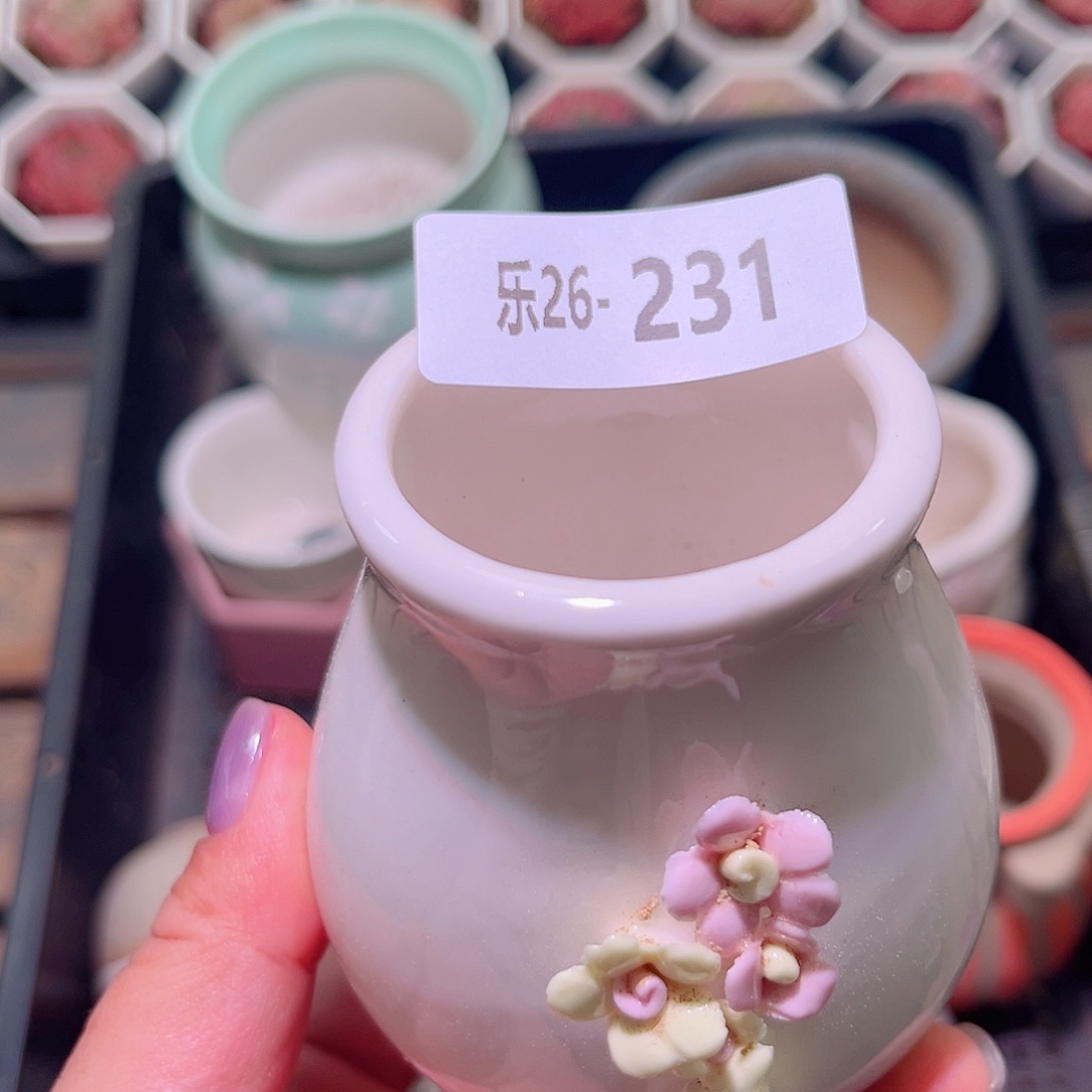 乐然26-231 花盆一个 