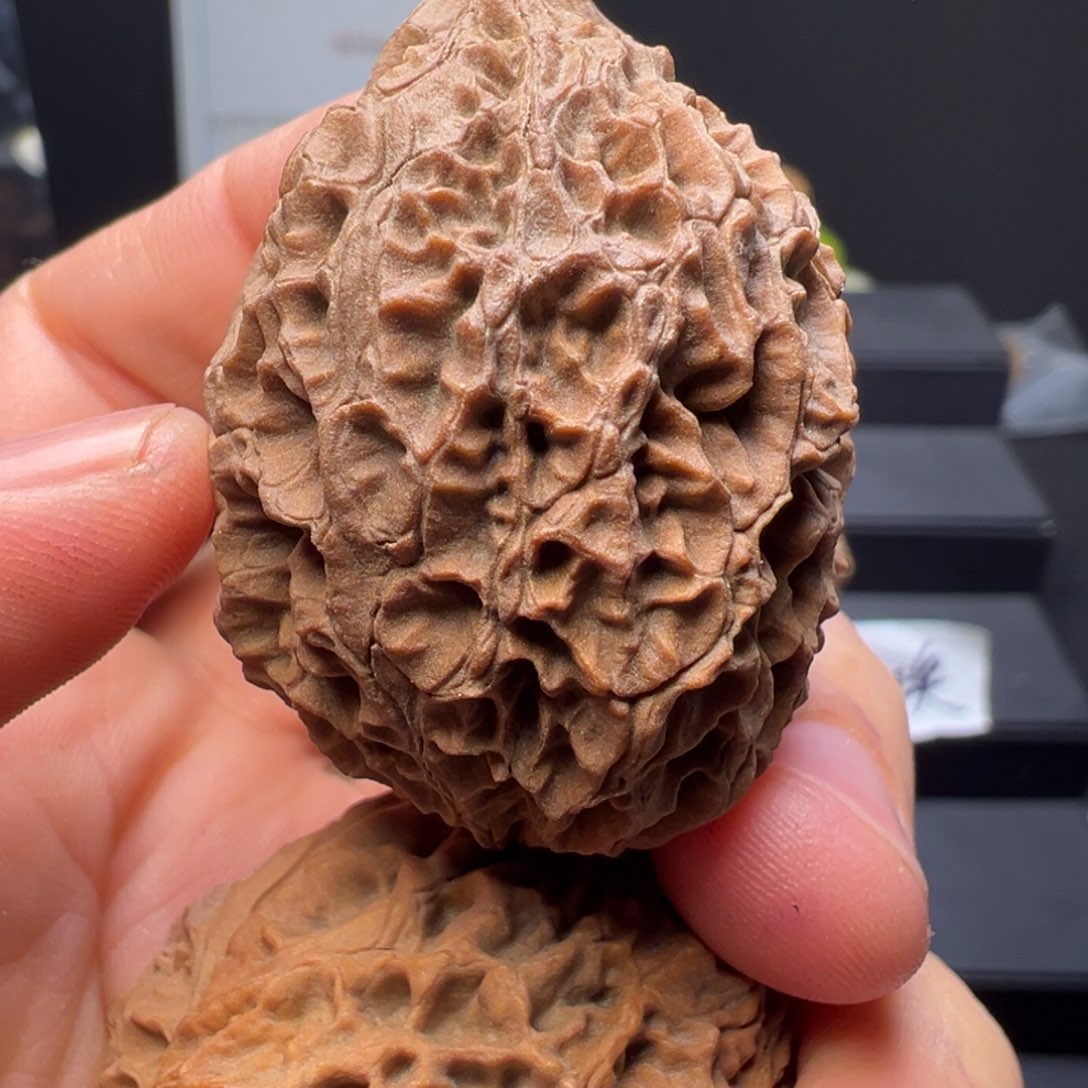 吊坠文玩核桃鸭嘴兽42mm