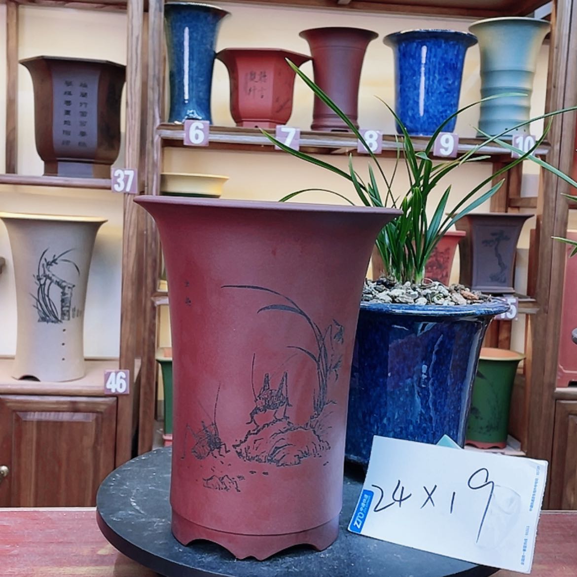 【闪购商品】紫砂花盆兰花455855336585525875