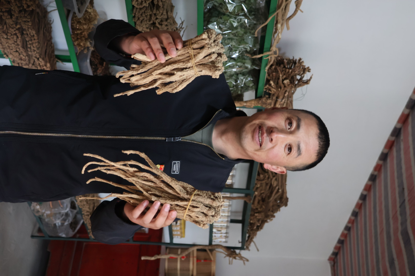 甘肃大山深处野生党参整棵全干货