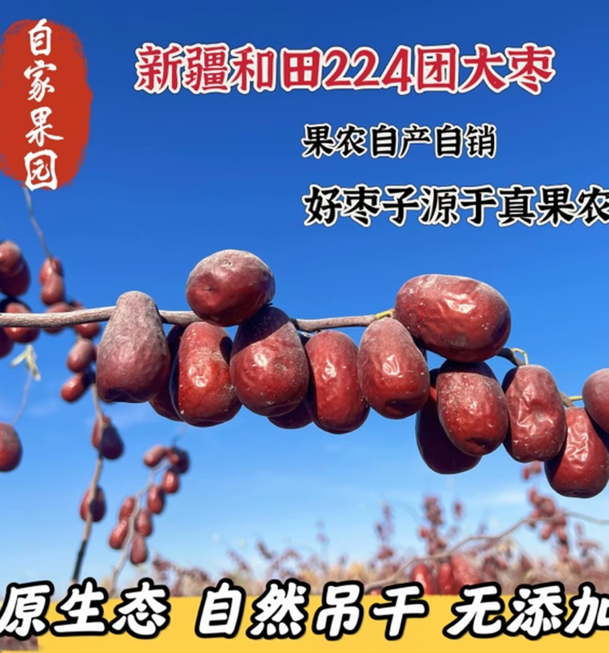 2025年新疆和田大枣 原生态不加工 新疆直发2/5斤装包邮
