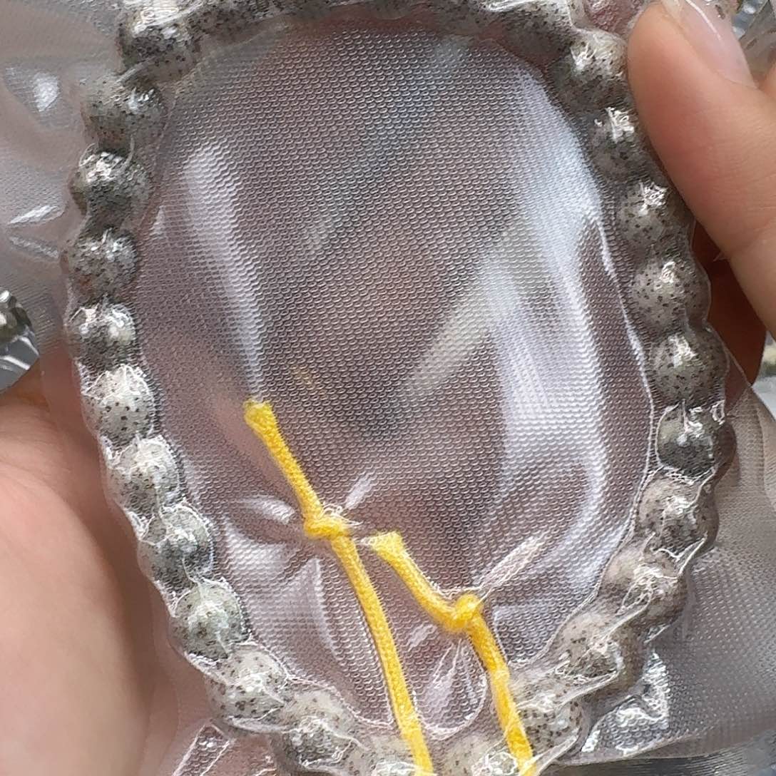 星月菩提手串85入门星月菩提0.9糖豆手持