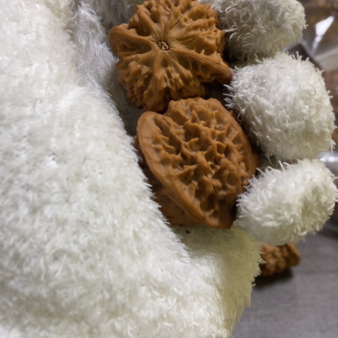 佩***奇秦岭南侧和东北向秦闷