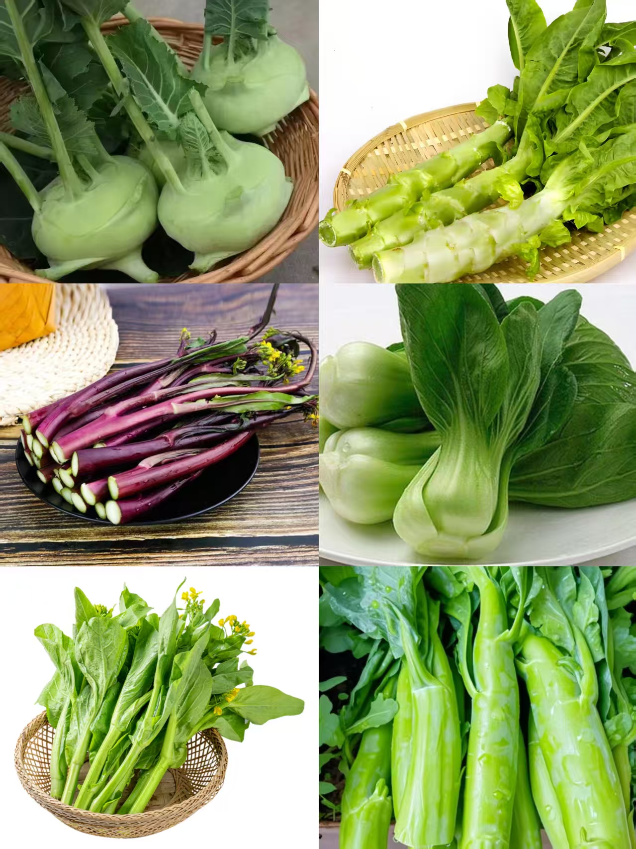 【顺丰包邮】湖南衡阳本地蔬菜胡萝卜 兰头 莴笋 菜苔 调羹白农家菜