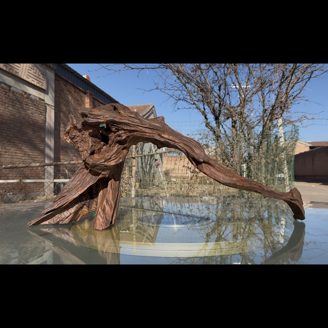 尺寸：61✖️15✖️25，鱼缸造景沉木摆件，紫柚木，秒沉水，包煮，南美缸