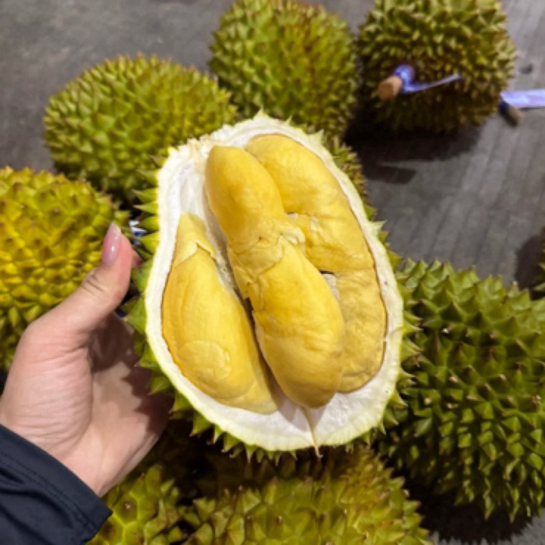 （哲越优选）新鲜榴莲批发干尧金黄果肉顺丰包邮14斤-15斤核大干尧越南社会主义共和国