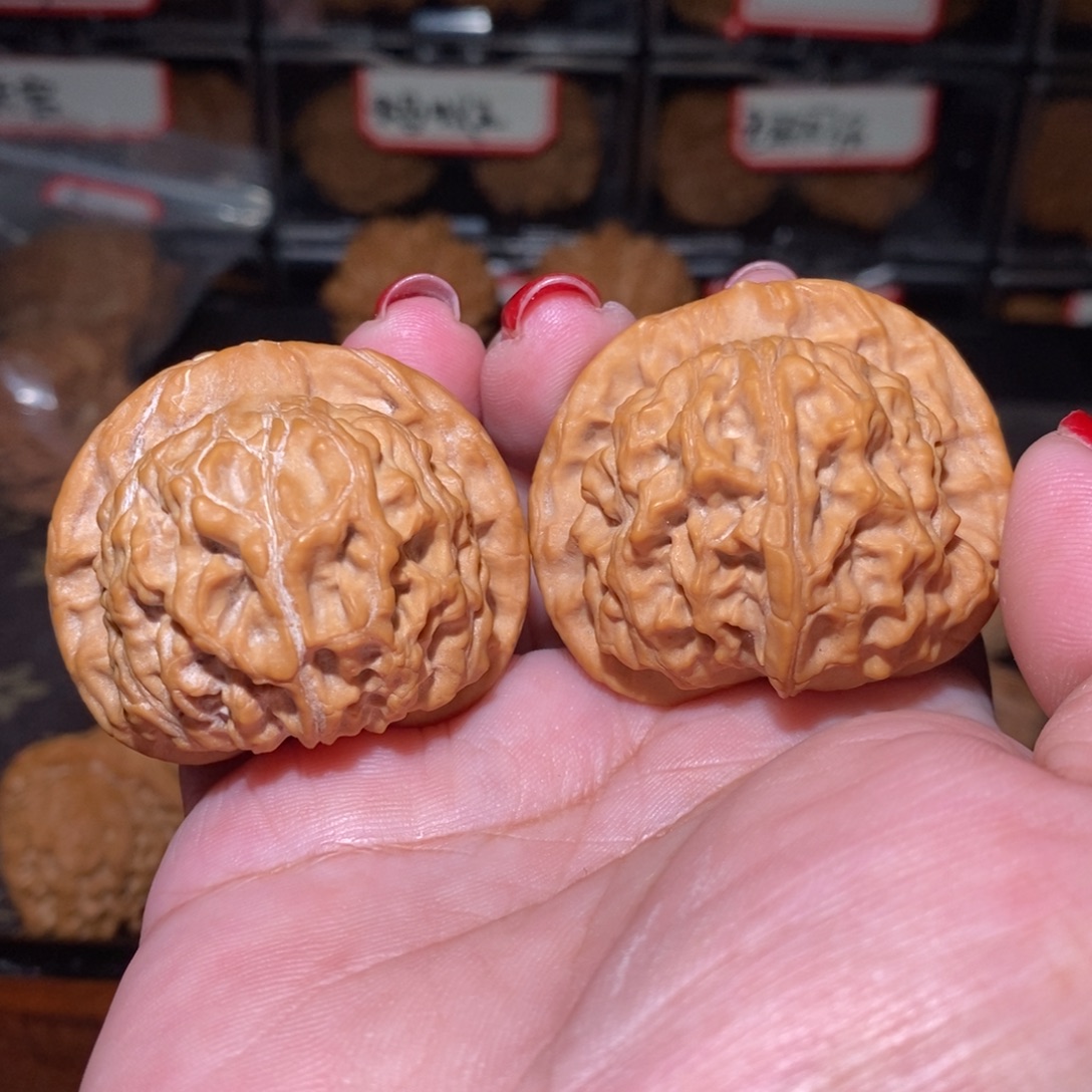 文玩核桃把件42原树天地