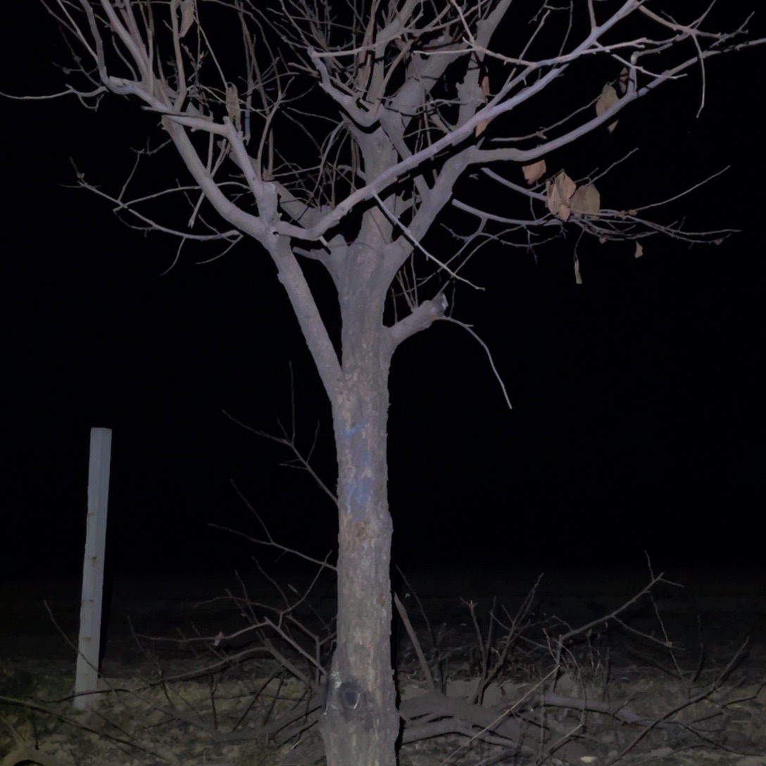 完全开放一物一拍