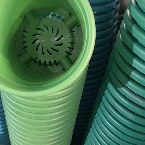 树脂四季3号草绿无托10个