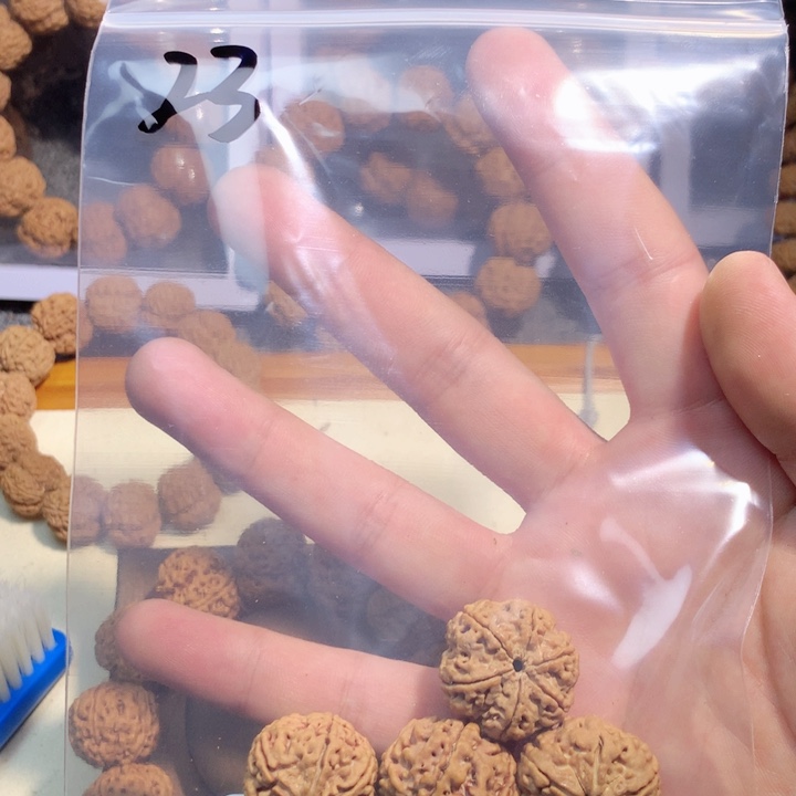 吊坠金刚菩提你****逢23。      