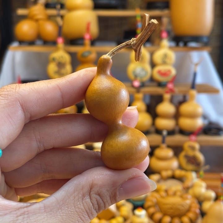 张*国天然葫芦自然生长