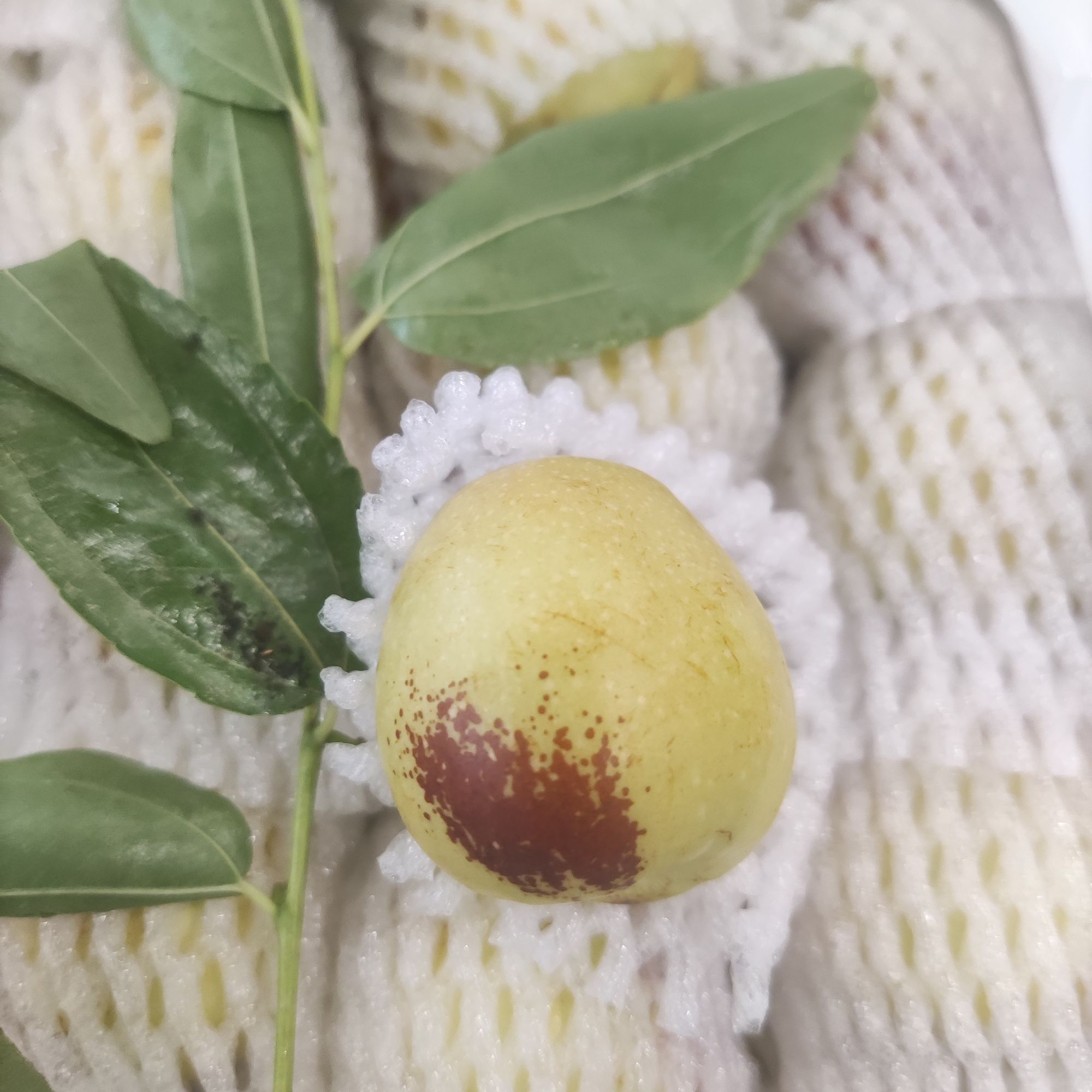 悦果先生冰枣（一箱）