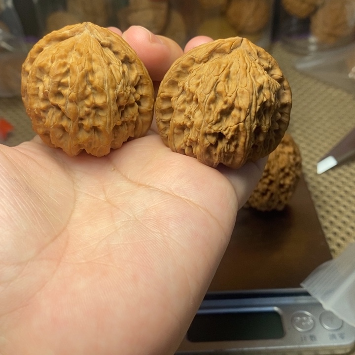 核桃手串/手链三角白42