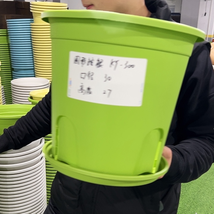 正品圆控口30高27果绿色4只带托