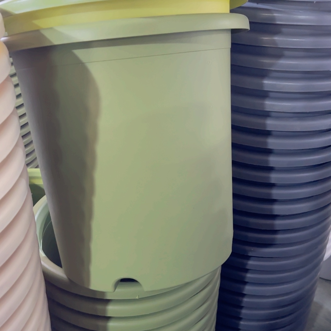 树脂特价8#无拖果绿3个