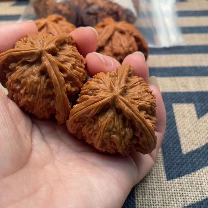 清***月核桃白狮子40核桃