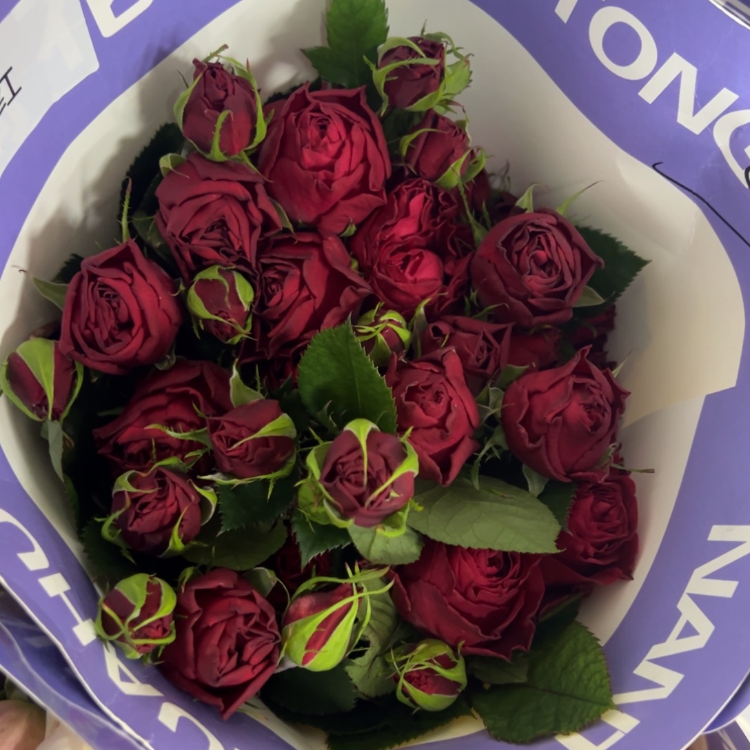 楠桐 测试红10支装 拍满三单包邮