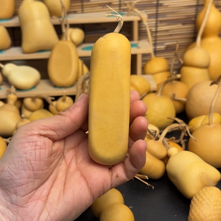 ⭐**前葫芦葫芦葫芦葫芦葫芦葫芦