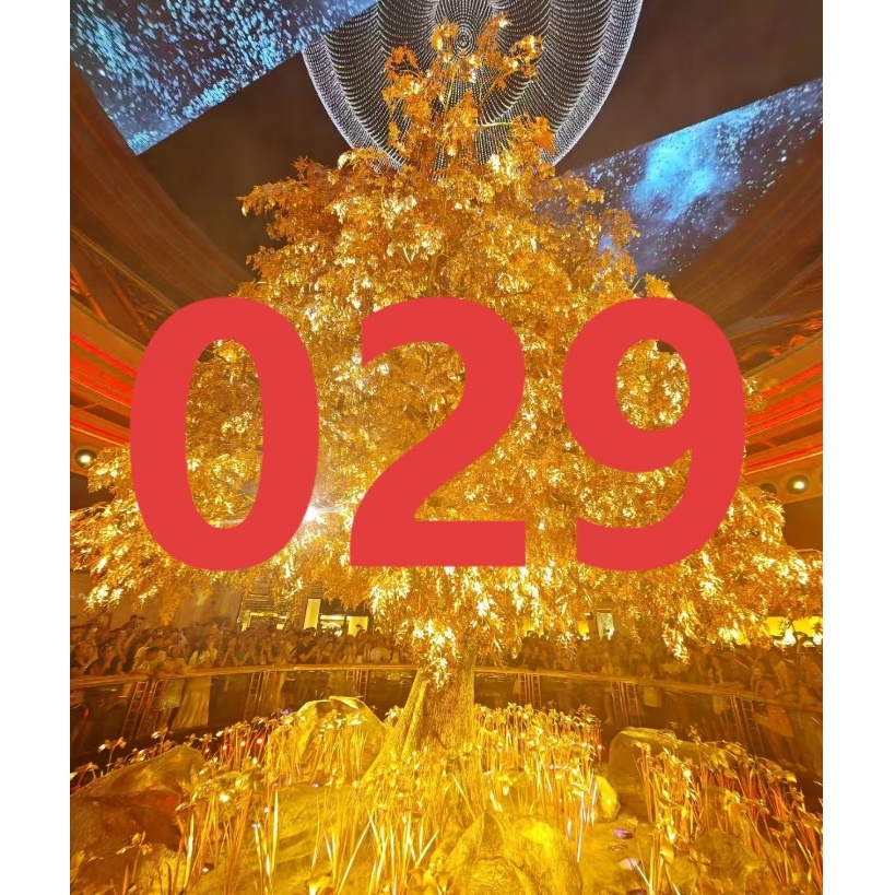 LW 编码029 儿童2025童装冬季新款时尚毛呢呢子外套YMR4SJ472