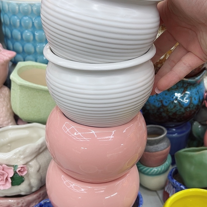 多肉植物陶瓷花盆