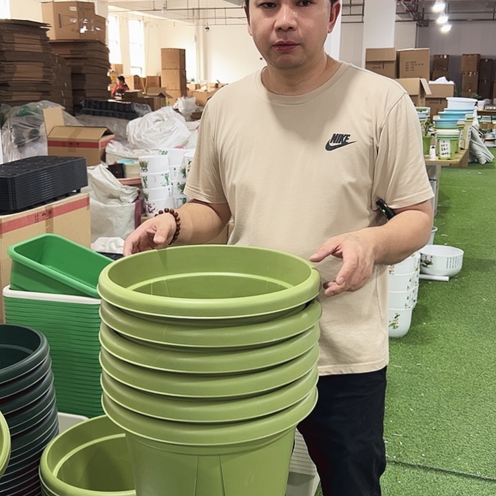 青山口40高35果绿色5个无托