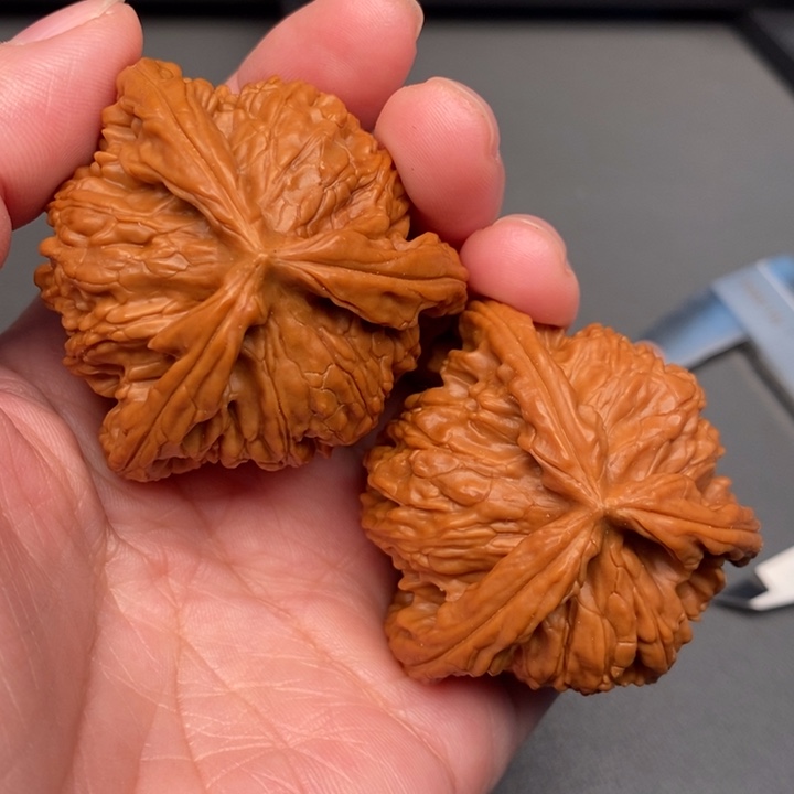 胖***胖木质类核桃核桃核桃