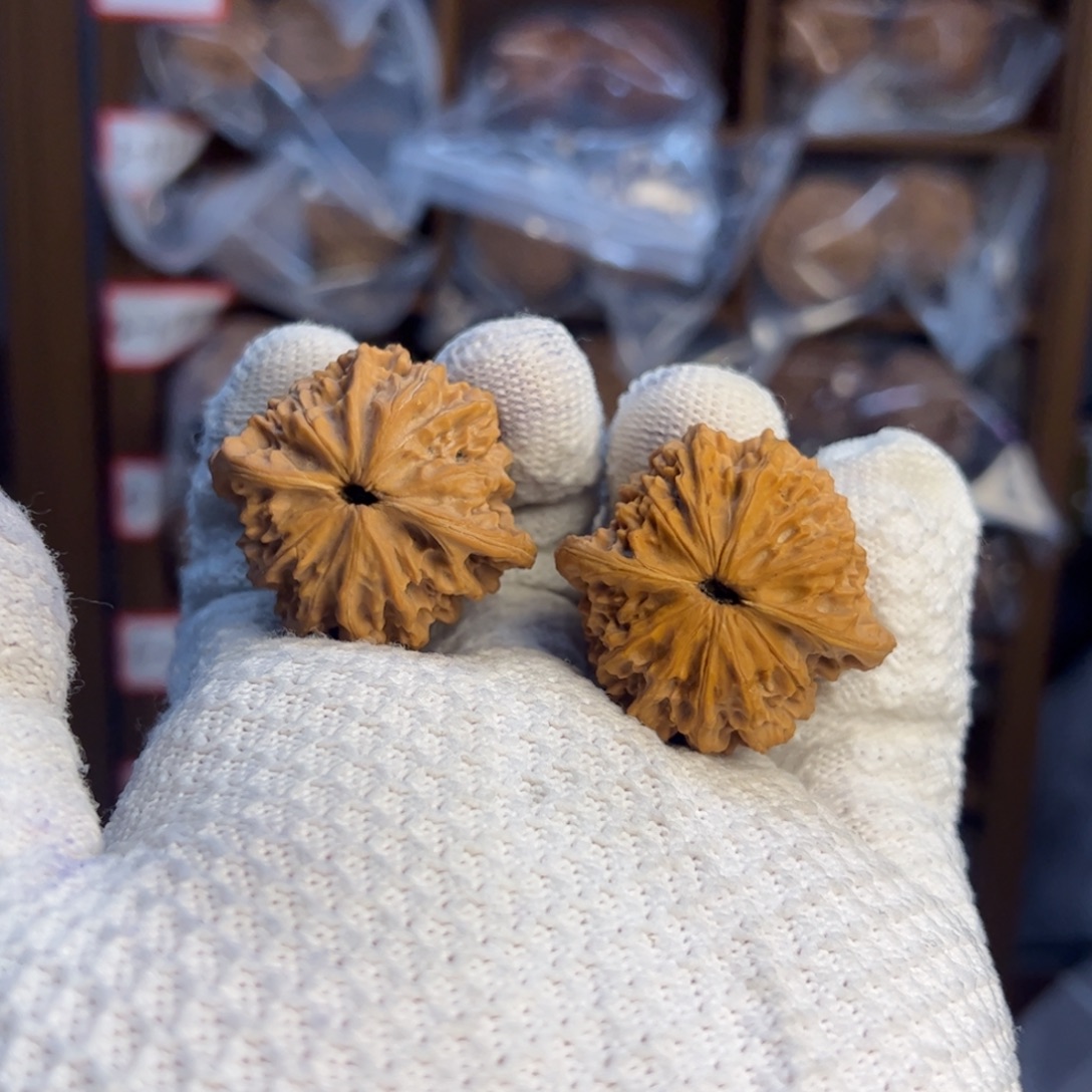 文玩核桃吊坠水龙纹