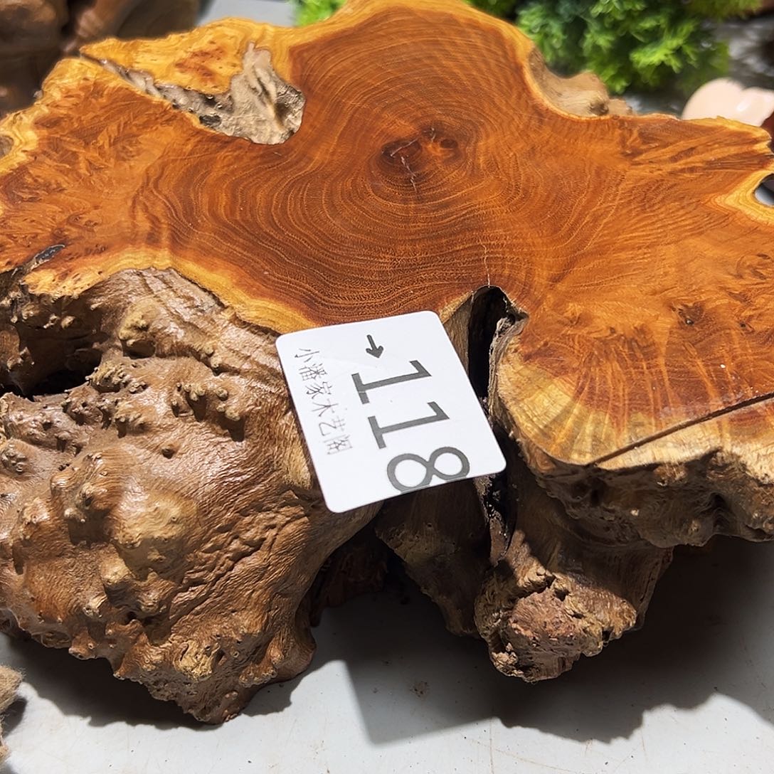 与***舞香榧木麻梨疙瘩……