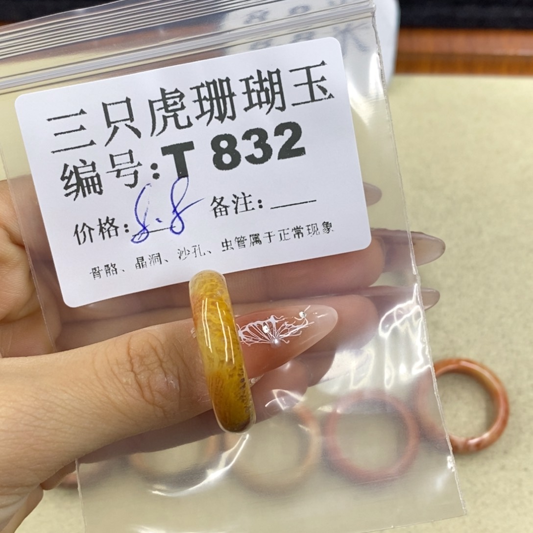 硅化珊瑚（珊瑚玉）1足银镀金镶嵌j**e