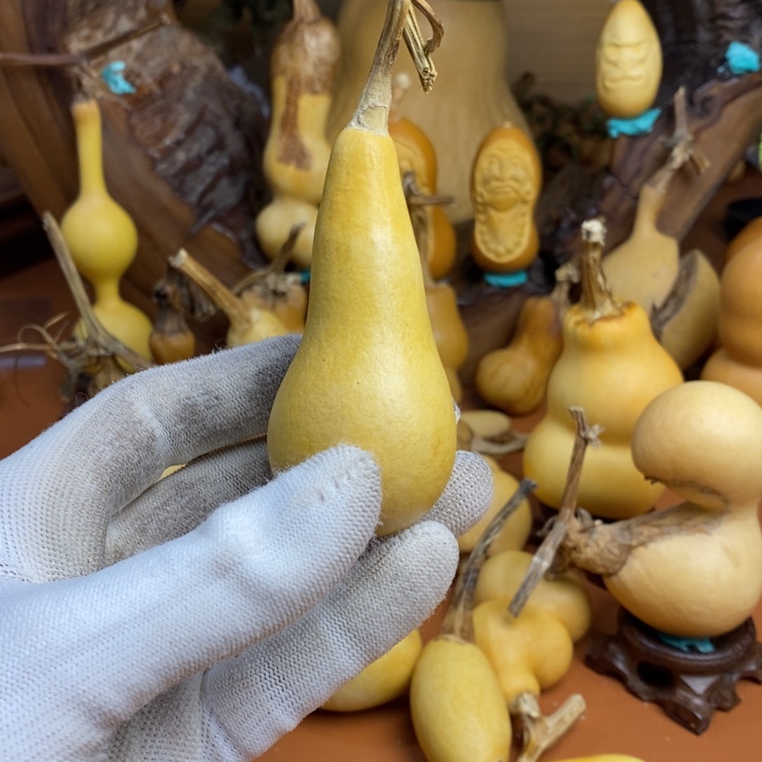 佛***人啦啦教练咯考虑哭