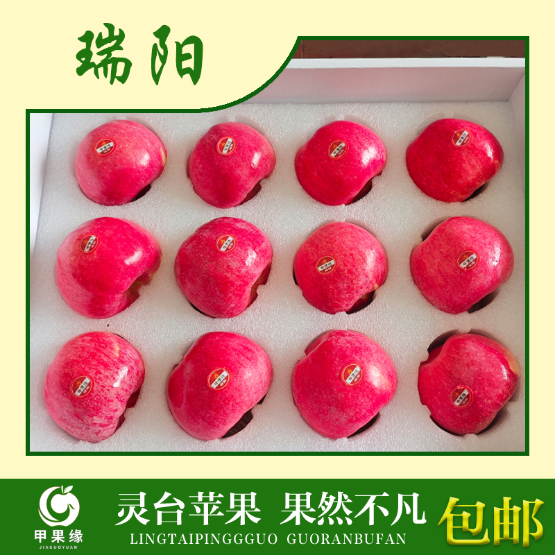 灵台特产瑞阳苹果