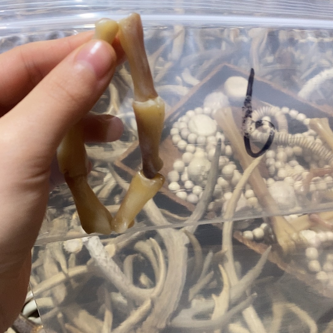 海***8非金属鹿角鹿角鹿角