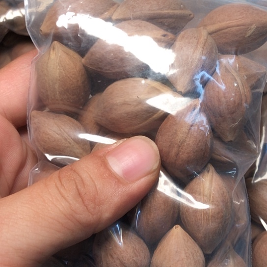 袋装不退不换不**呀